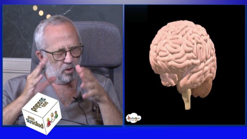 Nuevo servicio de neuro nutriciÃ³n para mantener nuestro cerebro sano