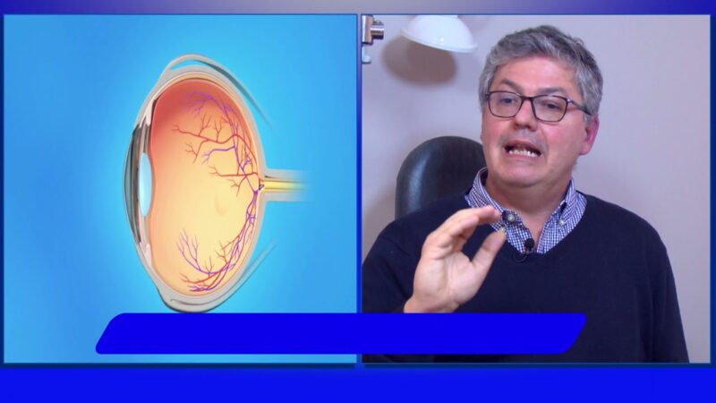 Â¿Que funciÃ³n cumple la retina?