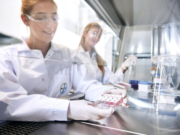 Por segundo año consecutivo América Latina es la segunda región con mayor crecimiento porcentual en el mundo, solo detrás de Estados Unidos .