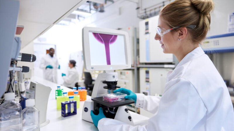 Bayer impulsa su crecimiento con un portafolio farmacéutico innovador