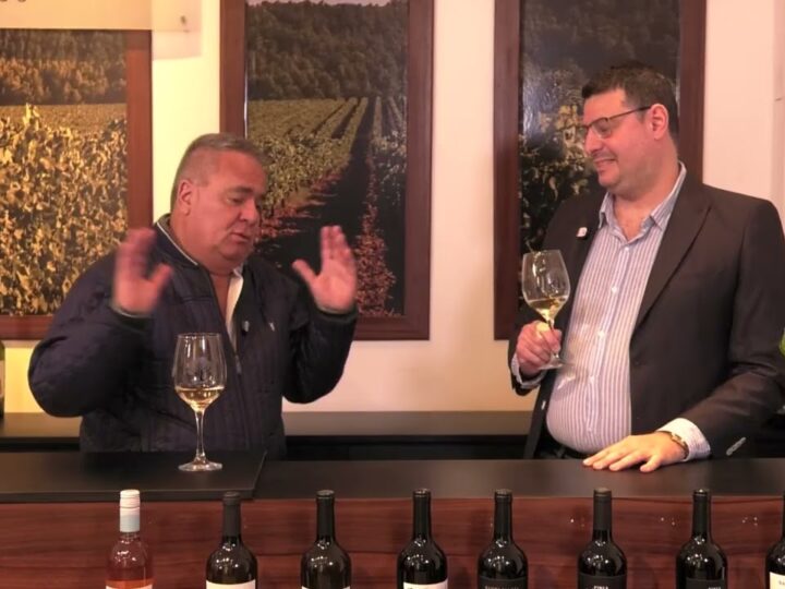 Conocemos Lampacito Bodega y Viñedos